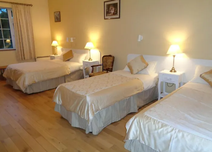 Redwood * Cill Airne